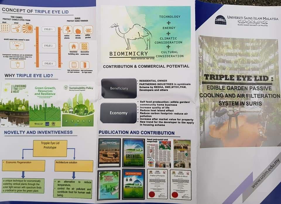 photo6215446976376450701